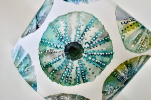 Sea Urchins Lamp Shade